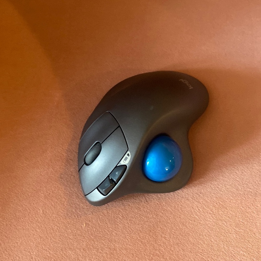 Logi Mouse